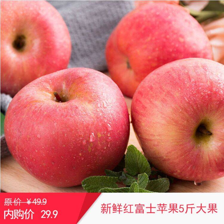 陕西洛川红富士苹果水晶红冰糖心（坏果包赔） 5斤净重【大果】