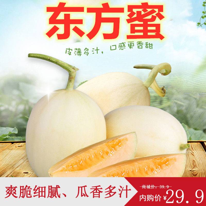 现摘水果东方蜜甜瓜脆瓜香瓜口口蜜 整箱 三斤实惠装