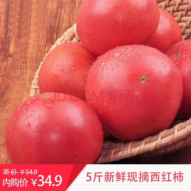 广西现摘沙瓤自然熟西红柿2斤5斤新鲜水果蔬菜带箱