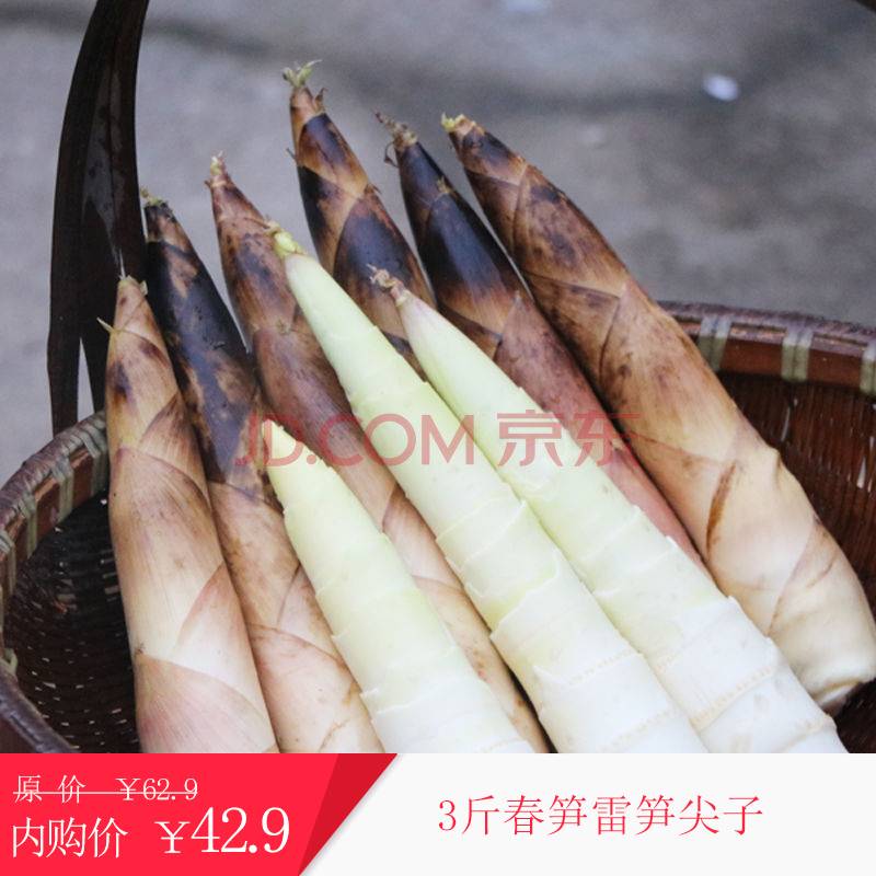 竹笋冬笋春笋雷笋尖子新鲜现挖蔬菜类