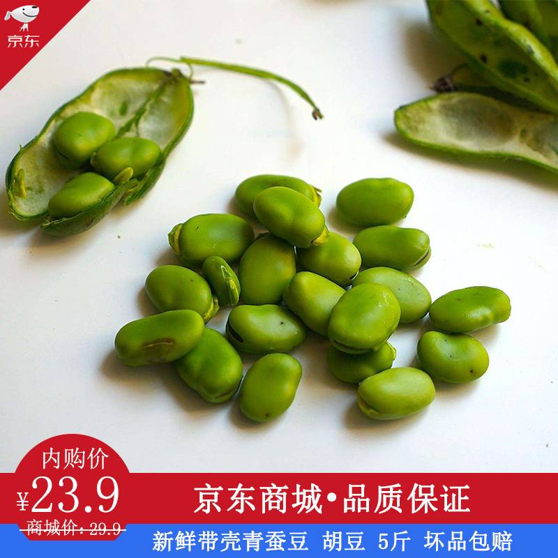 橙禾生鲜 新鲜带壳青蚕 豆胡 豆豌豆 罗汉豆 5斤